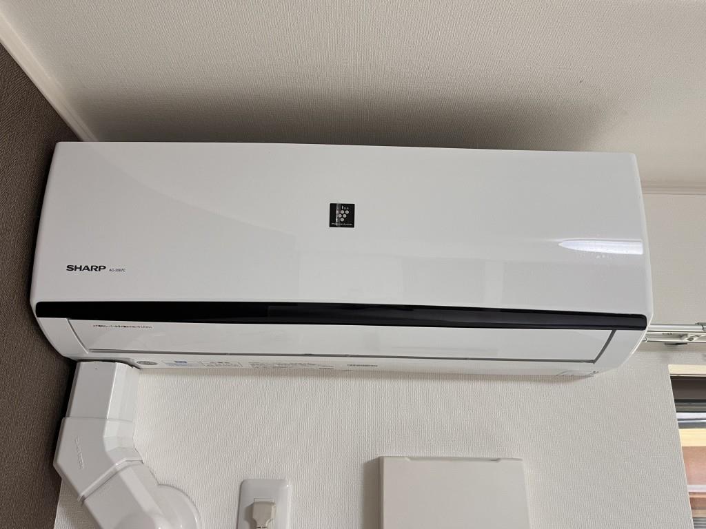 ゴールドチェリーブラッサム その他17