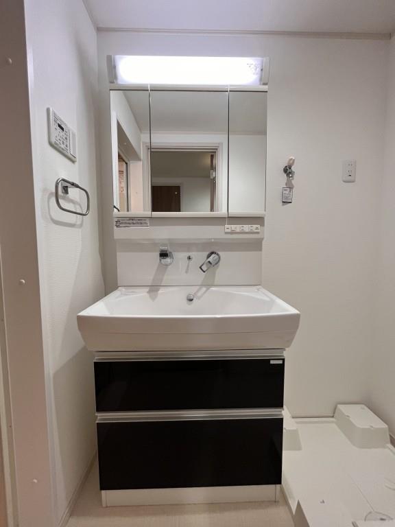 ゴールドチェリーブラッサム その他27