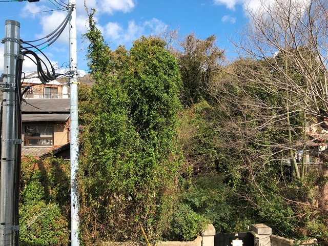 ブルーメ本山 その他7