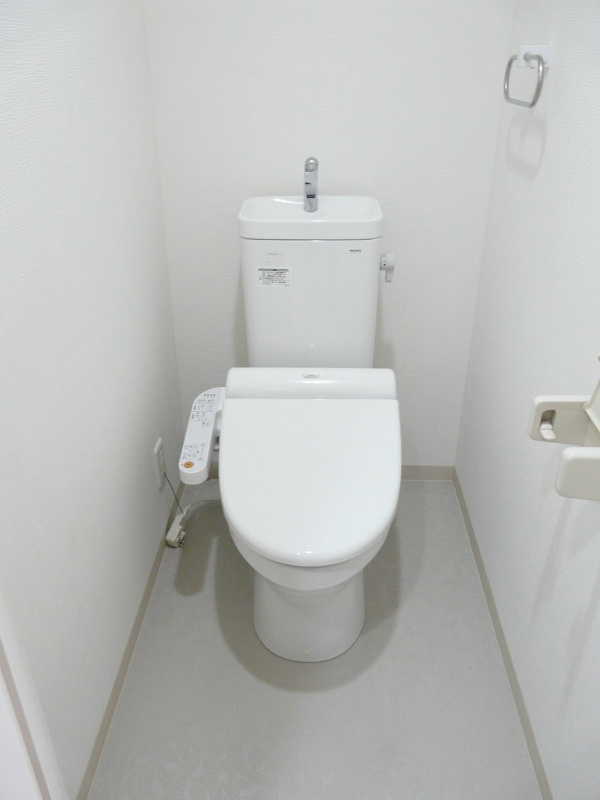 セントハイネリア その他1