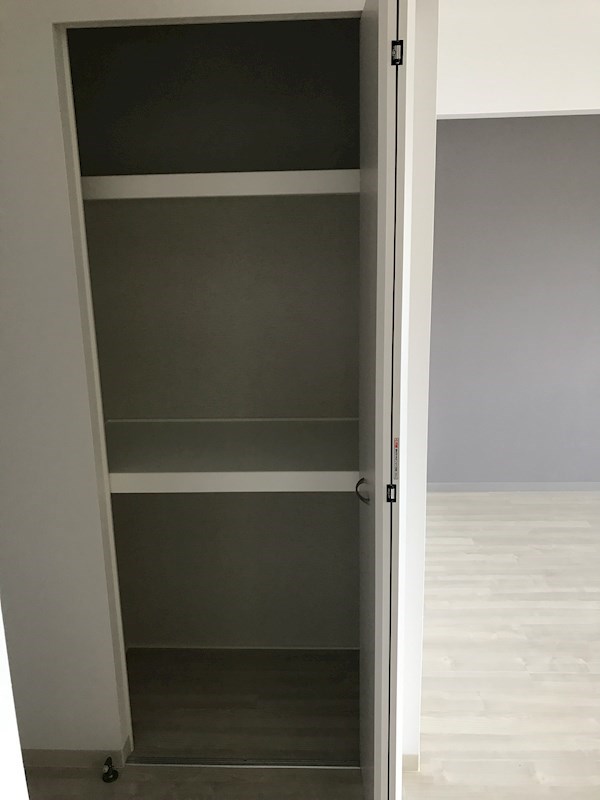 セントハイネリア その他3