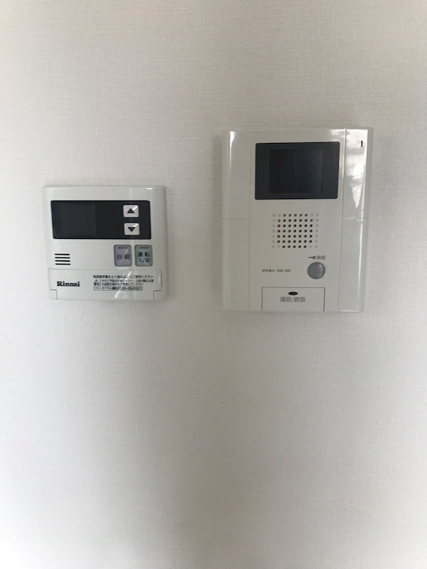 セントハイネリア その他4