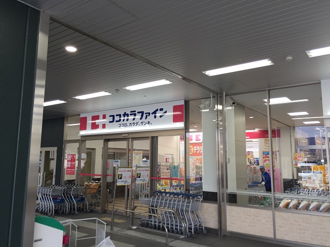 エリカⅣ 周辺画像4