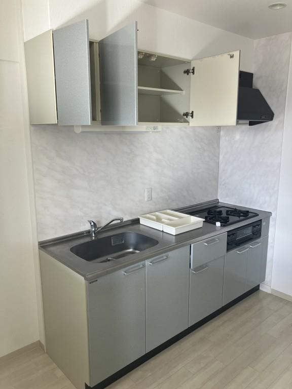 パレスマイセン キッチン