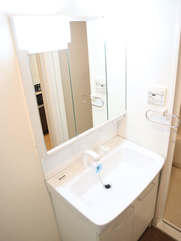 チェスナット 西大島 その他2