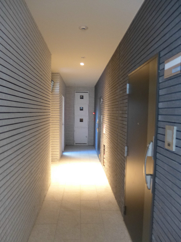 チェスナット 西大島 その他外観2