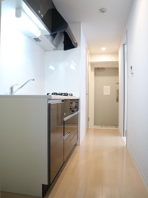 チェスナット 西大島 その他9