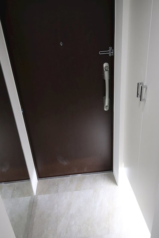 セイワパレス丸の内駅前プレミア 玄関