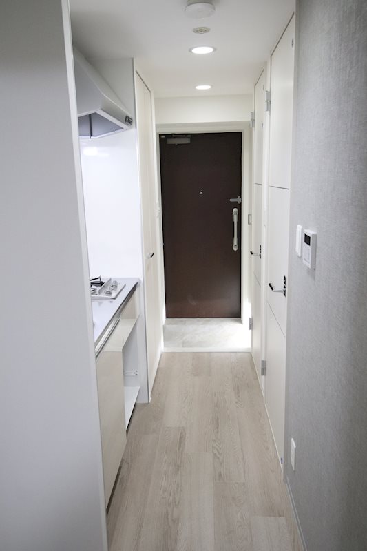 セイワパレス丸の内駅前プレミア リビング