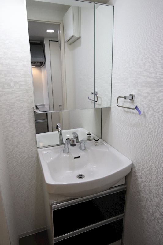 セイワパレス丸の内駅前プレミア その他2