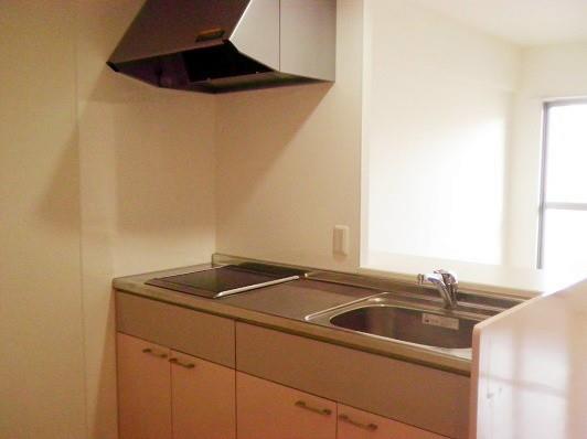 デル スール ラ ローザ キッチン