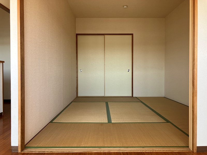 ｳﾞｪﾙﾄﾞﾐｰﾙ ｽﾃﾗ その他1