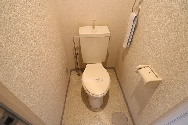 ルミナスヨシ その他1