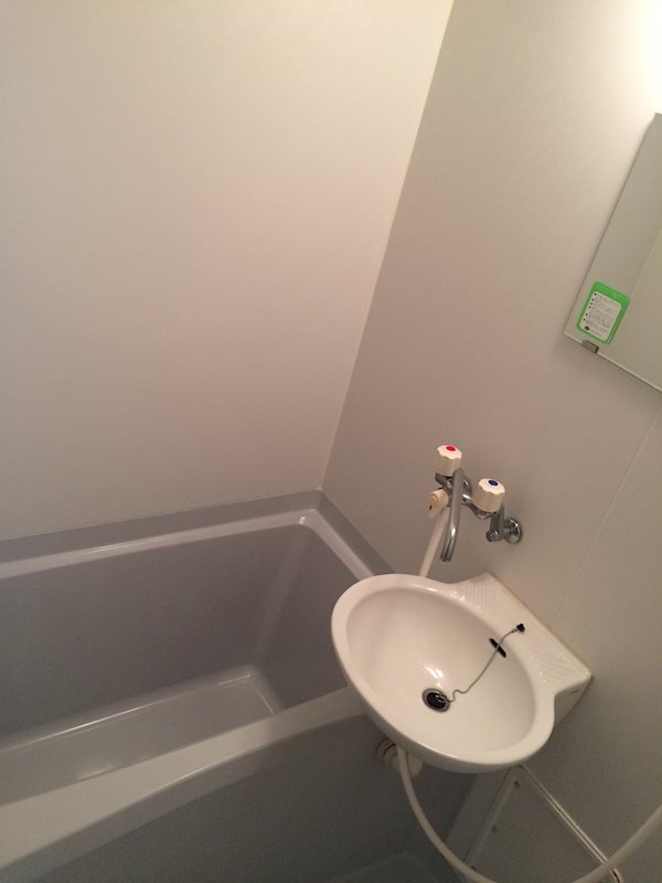 ルミナスヨシ その他2