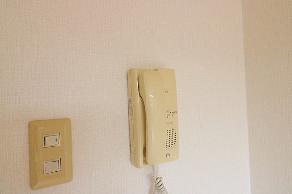 ルミナスヨシ その他3