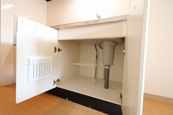 ルミナスヨシ その他9