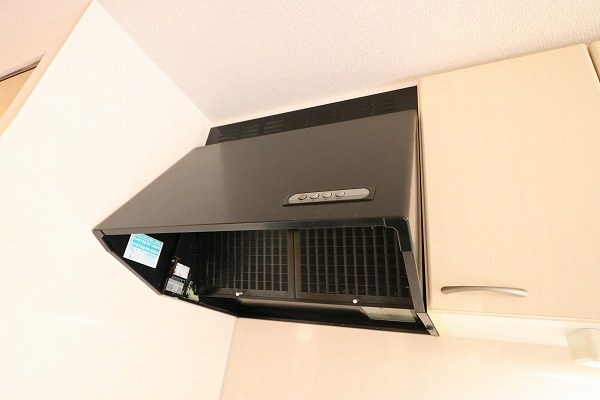 ルミナスヨシ その他11