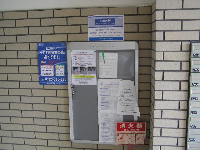 ルミナスヨシ その他17