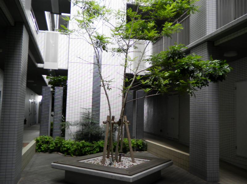 サクシード胤 その他外観1