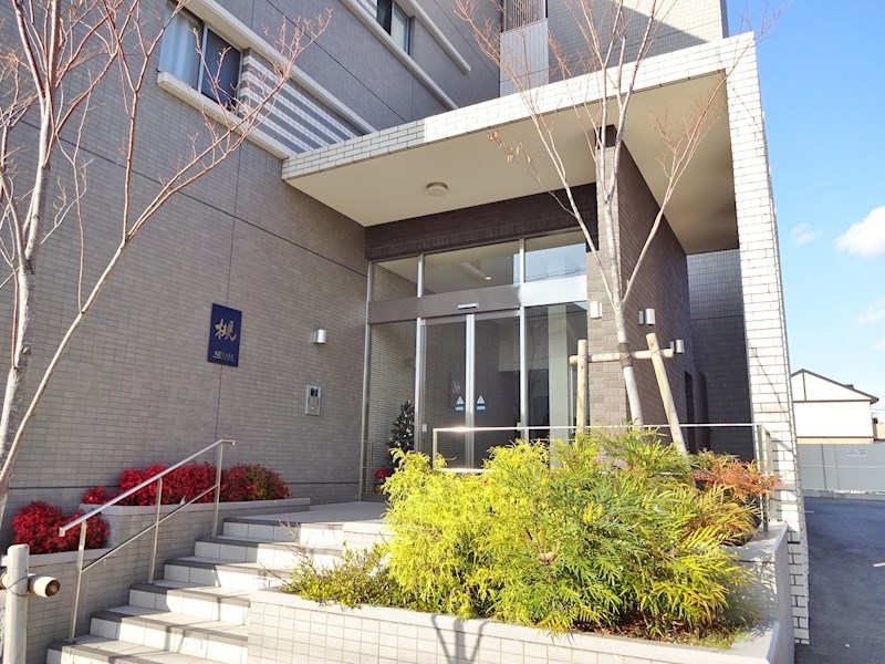 槻（ケヤキ） その他外観1