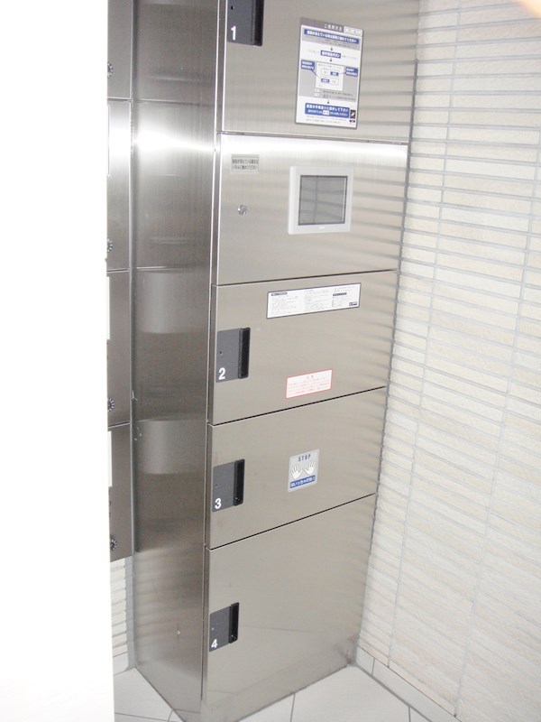 槻（ケヤキ） その他外観2