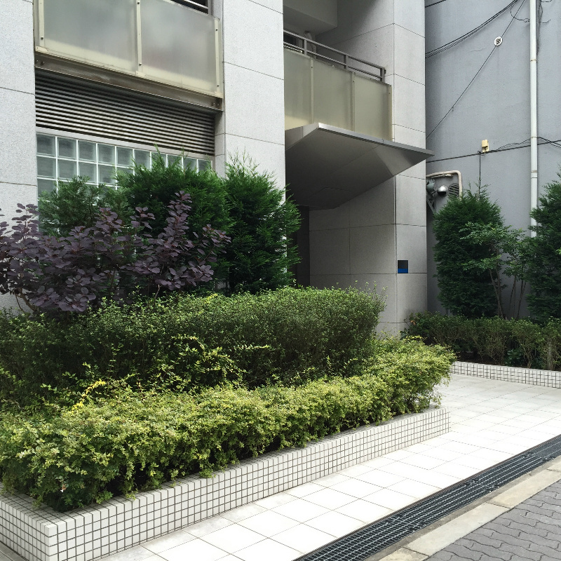 セイワパレス大手前西 その他3