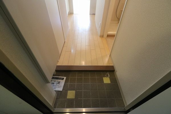 Spruce Tone mf その他6