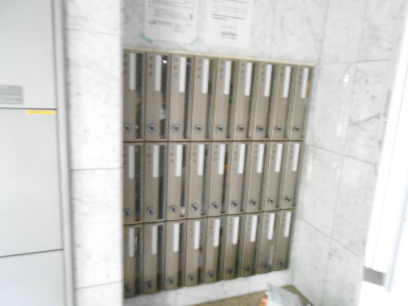 ラ・パス大井橋 その他9