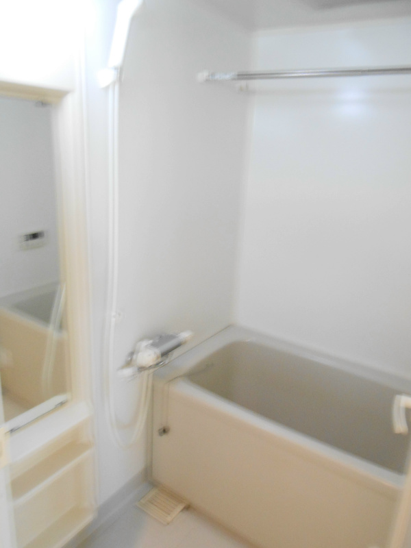 ラ・パス大井橋 キッチン