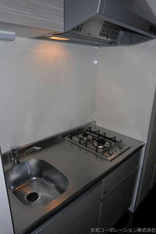 セイワパレス丸の内駅前プレミア キッチン