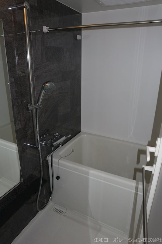 セイワパレス丸の内駅前プレミア 風呂画像