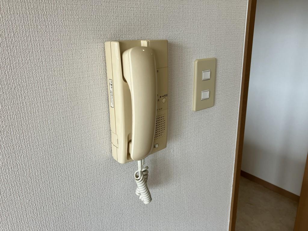 ヴィエルジュ・エフ その他15