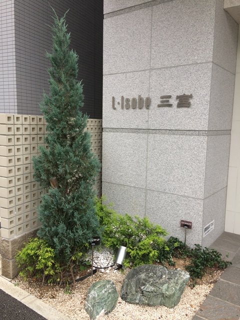 エル･イソベ三宮 その他外観2