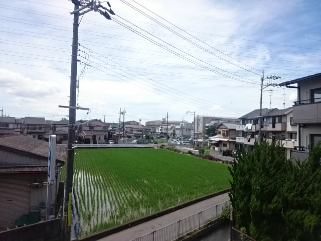 Sun Silk（サンシルク） その他4