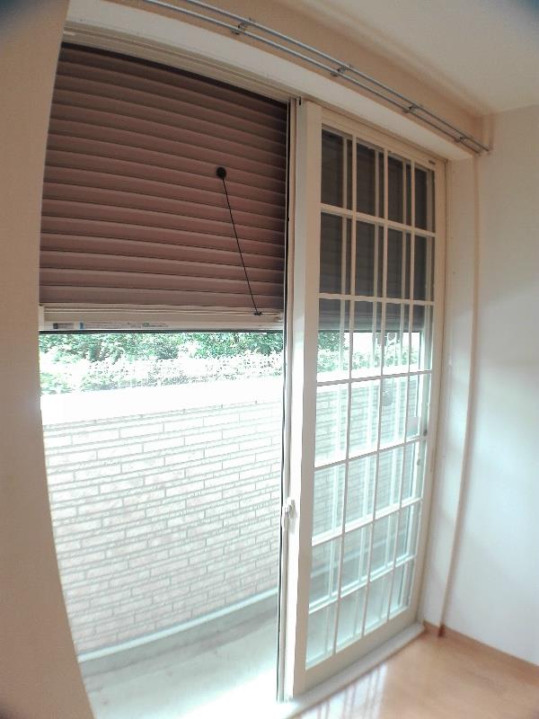 エターナルアイランド その他31