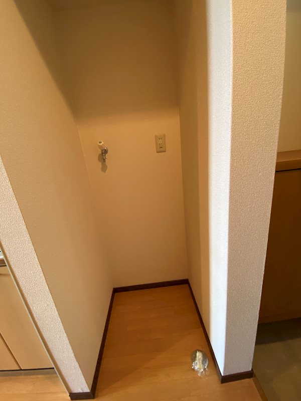 Warm front. わかわし その他6