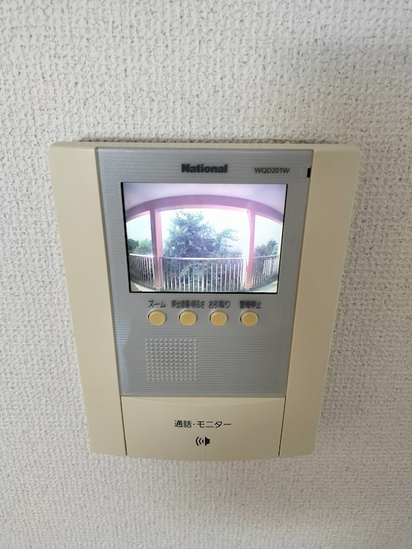 ﾙﾁｬｰﾏ その他4