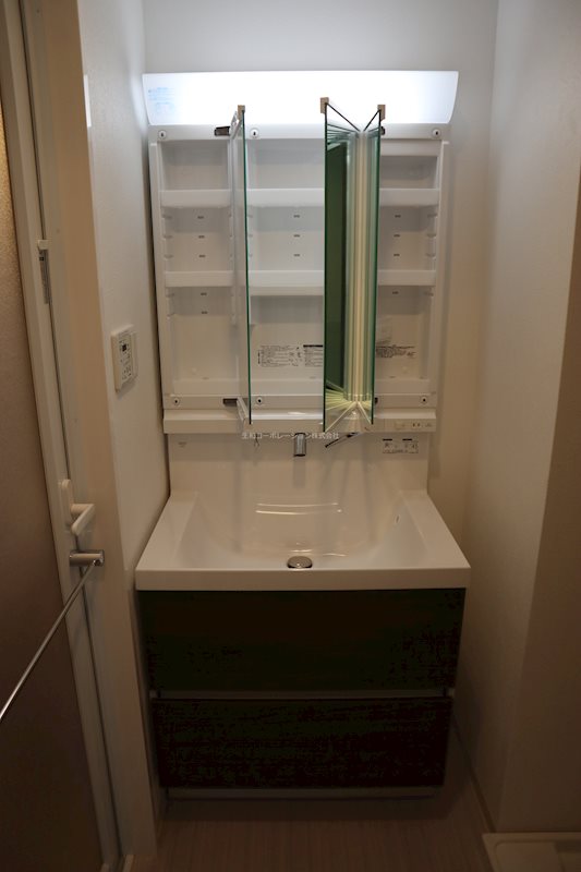 ｳﾞｪﾙﾚｰｳﾞ ﾋｻﾘｺ その他2