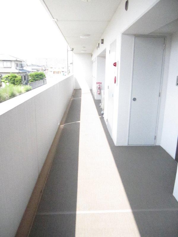 ソルジェ･K その他14