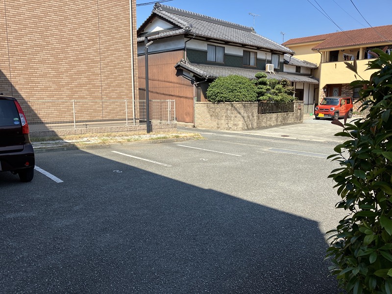 ポーチュラカ その他外観2