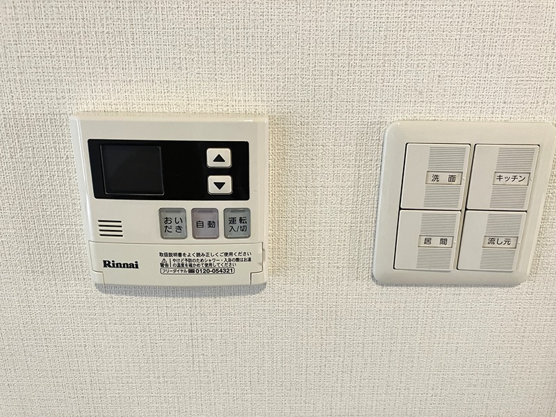 ポーチュラカ その他11