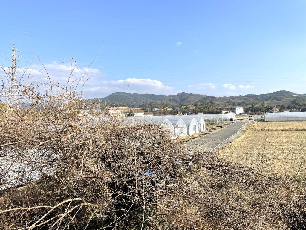 グランドアマレーⅥ番館 その他12