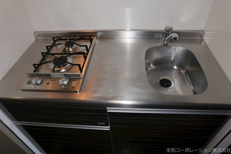 セイワパレス丸の内駅前 その他15