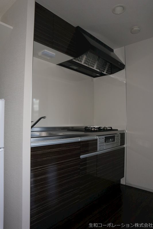 セイワパレス丸の内駅前 キッチン