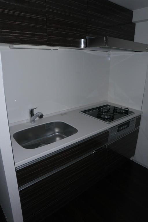 セイワパレス丸の内駅前 キッチン