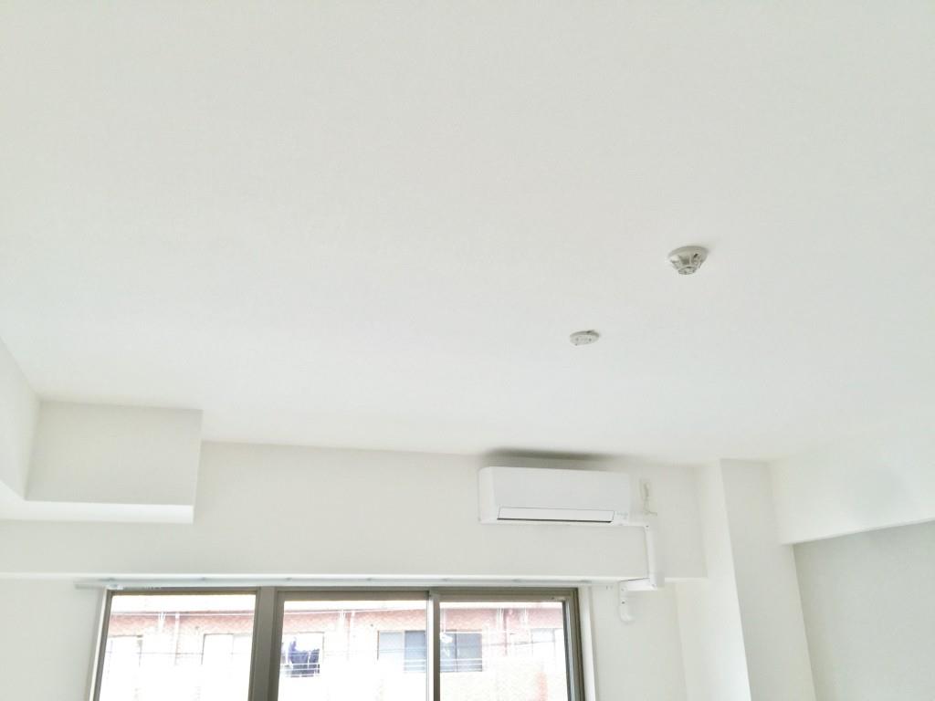 クアドリフォリエブルー その他22