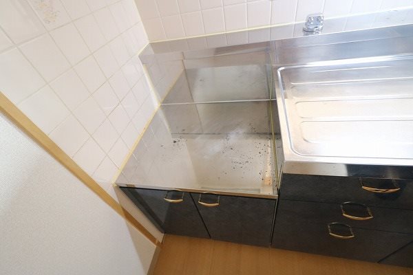 エスペランサ広野 その他8