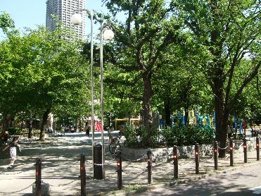 クレシェンテ月島 その他19