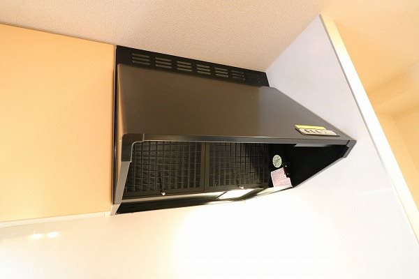 サントゥールくいな橋 その他15