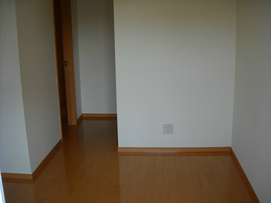 Jaipur(ジャイプル) その他4